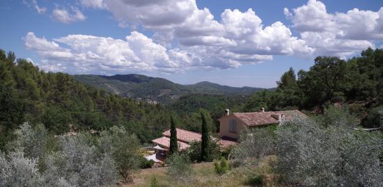 Olives-en-Provence