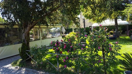 Le Jardin