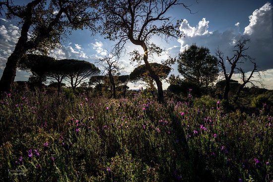 Réserve Naturelle Nationale de la Plaine des Maures