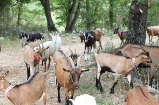 La Ferme des Cairns