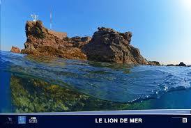 Le Lion de mer
