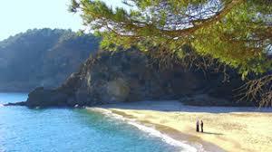 la Plage de Bonporteau