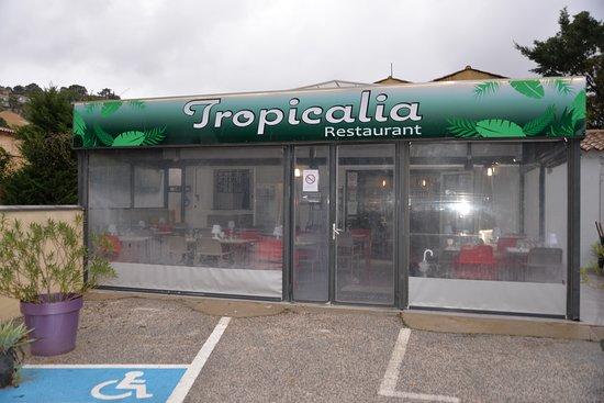 Tropicalia