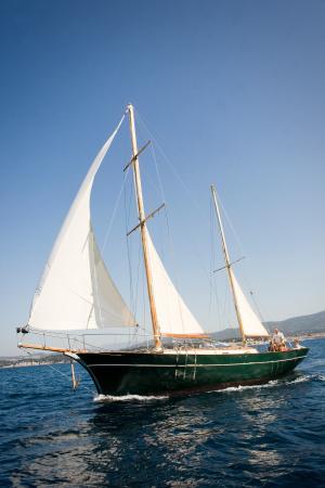 Cigno Nero