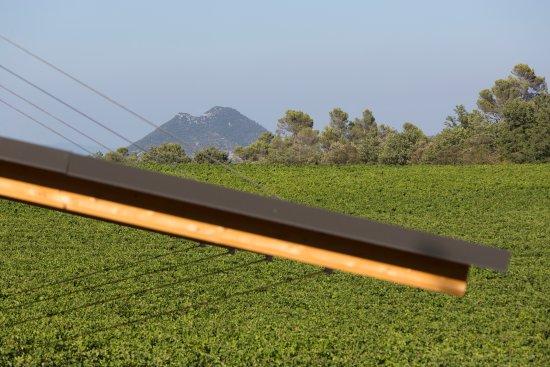Domaine Masson