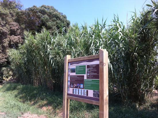 Parcours Decouverte