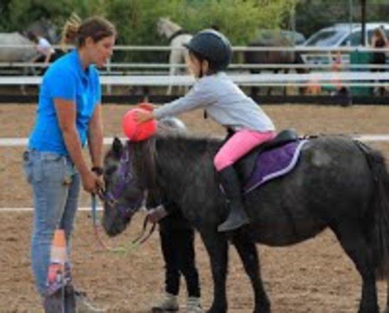 Mon Ami Poney