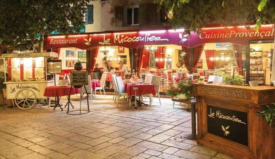 Le Micocoulier