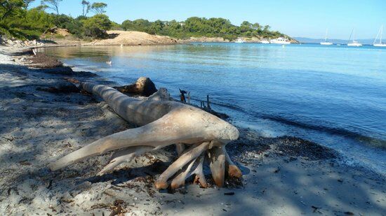 La Plage d'Argent